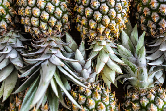 Pineapples straight from Brisbane markets&nbsp;<div><br></div>