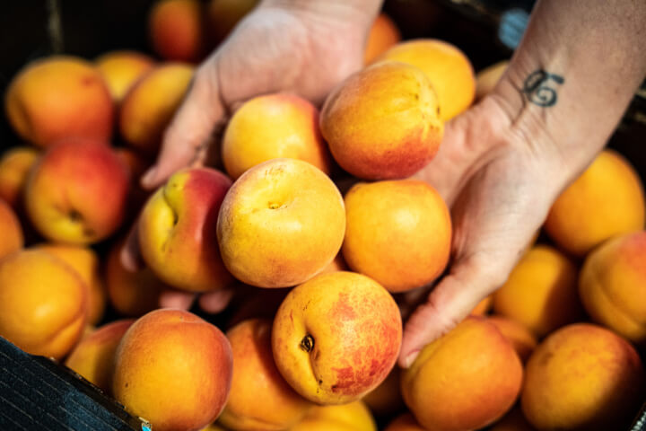 Ken Littles Fruit and Veg Port Macquarie Fresh Fruit and Veg Delivered to Your Home in Port Macuaire and The Hastings