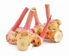 Galangal