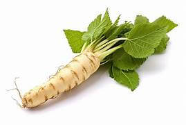 Horse Radish
