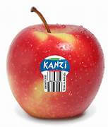Apples Kanzi  New Season