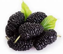 Mulberries