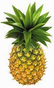 Pineapple  (Large) Headed