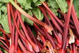 Rhubarb local