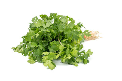 Coriander