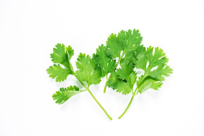 Parsley (Continental)