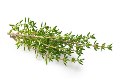 Thyme