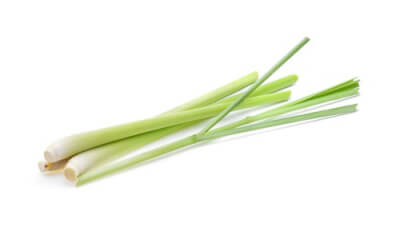 Lemongrass