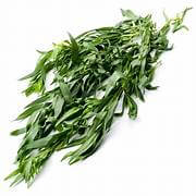 Tarragon