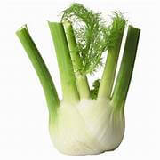 Fennel
