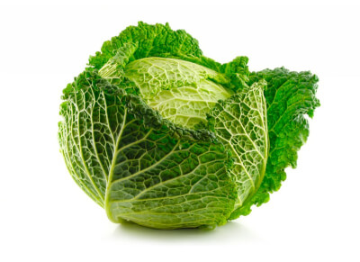 Cabbage (Savoy)