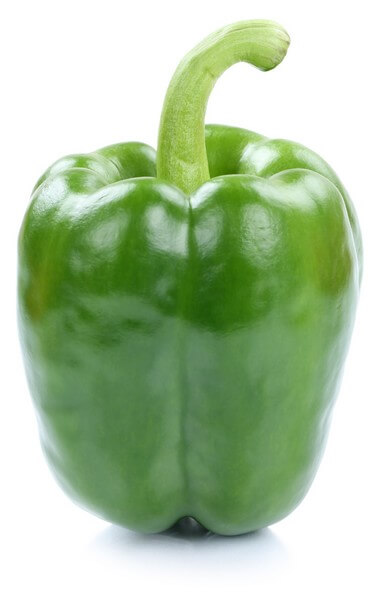 Capsicum (Green)