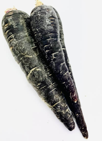 Carrot (Purple)