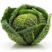Cabbage Savoy