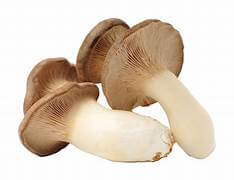 King Brown Mushrooms