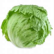 Lettuce (Iceberg)