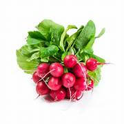 Radish Red