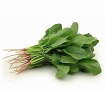 Spinach (English Bunch)